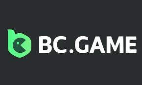 Understanding BC Game USA KYC What You Need to Know